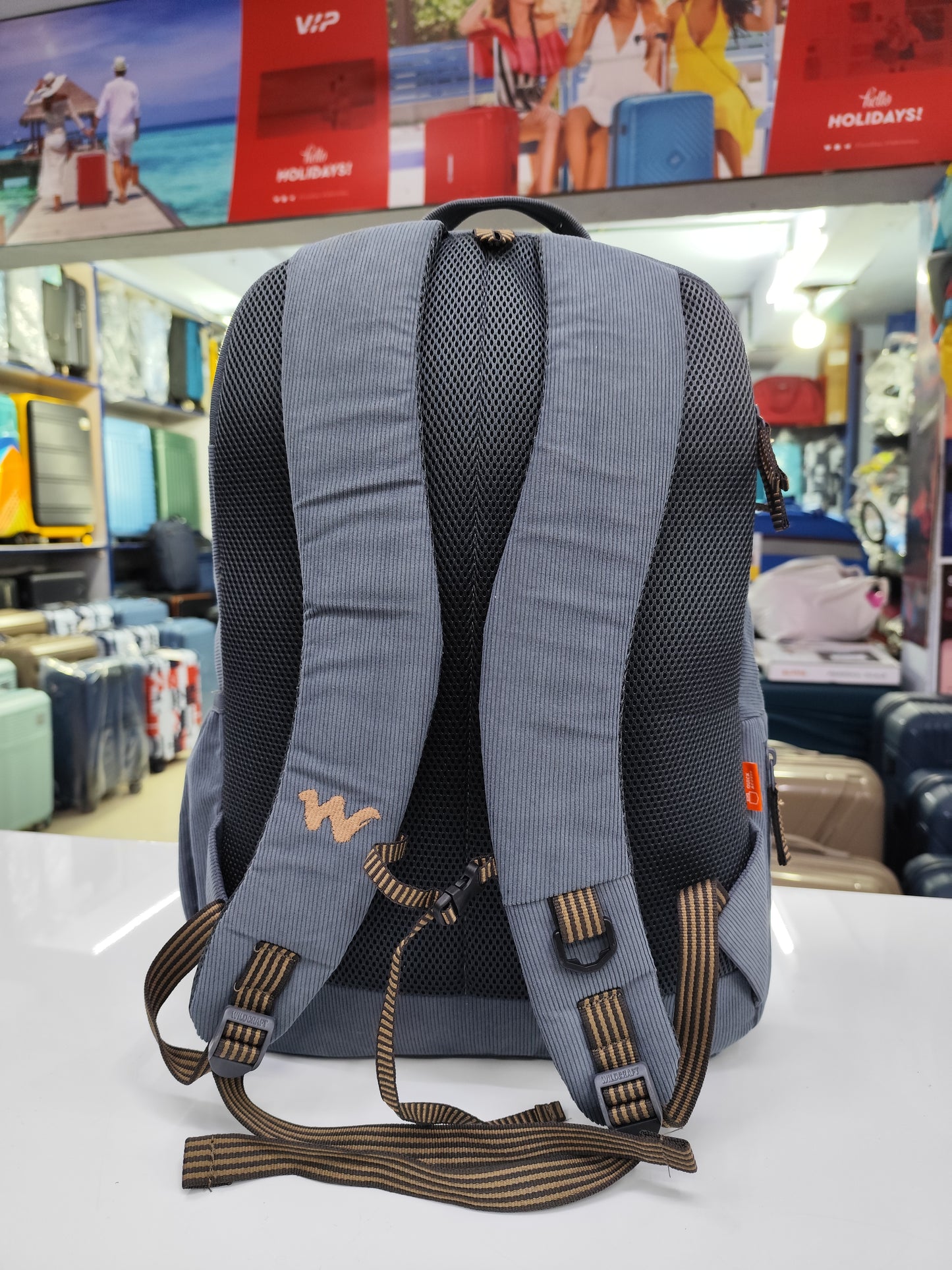 Office Backpack Gypsy 25