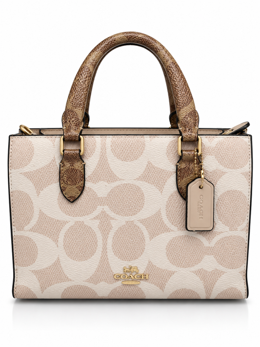 Imported Hand Purse BH 818